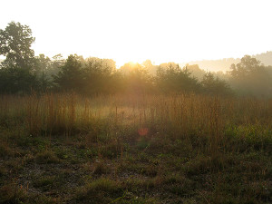 Morning Mist and Sunrise in Bloomery West Virginia